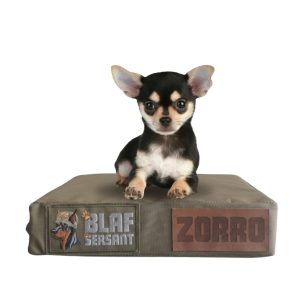 Small Dog Bed