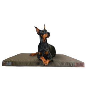 Extra Large Dog Bed