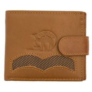 (5)-Tan-Leather-With-Camel-Print-Fino-Wallet-(View-1)