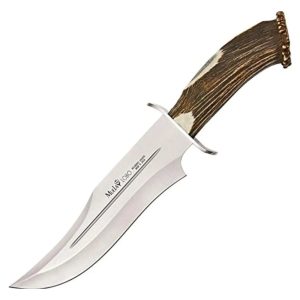 (8) Muela Lobo Fixed Blade Knife (View 1)