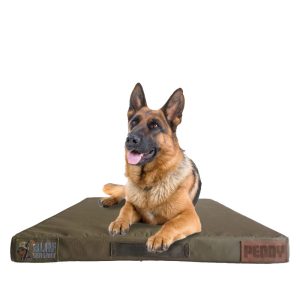 Large Dog Bed