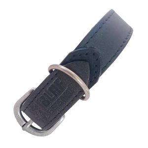 Large Dog Collar