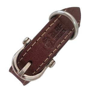 Small Dog Collar