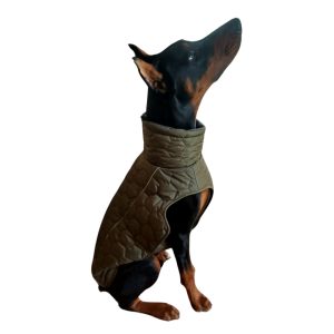 Winter Dog Coat View 2