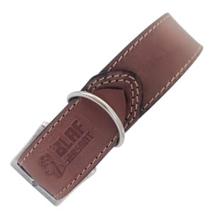 Extra Large leather dog collar