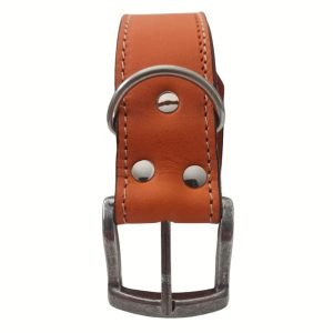 Dark Tan XXL Dog Collar